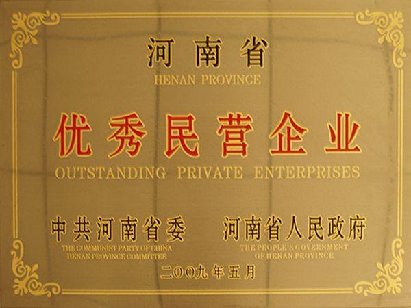 2009年河南省优越民营企业