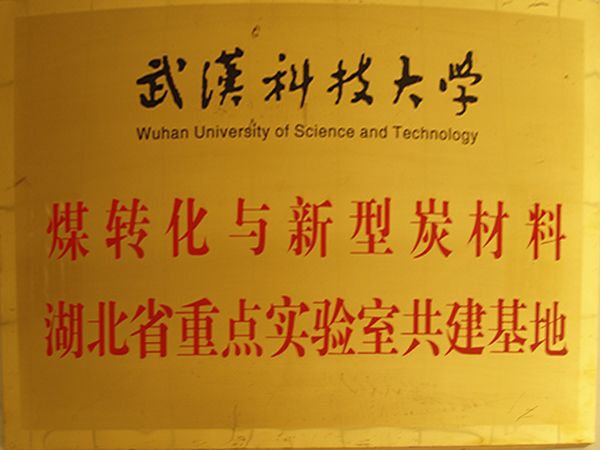 湖北省沉点尝试室共建基地