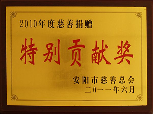 2010年度慈悲捐赠出格贡献奖